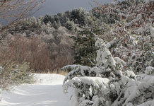 Sciare al Terminillo