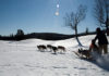 Sulla neve con Fido: sleddog, dove e come sleddog