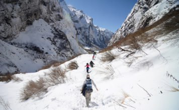 La passeggiata in montagna, terapia per corpo e mente trekking