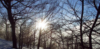 Sciare in Liguria si può, Ecco Dove