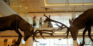 Ha aperto il MUSE, super museo delle scienze a Trento