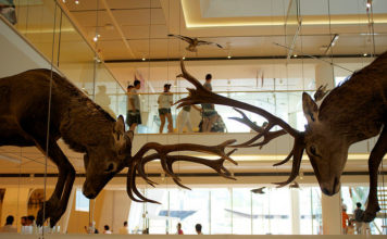 Ha aperto il MUSE, super museo delle scienze a Trento