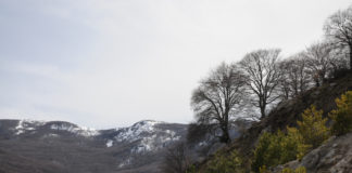 Sciare in mezzo al Mediterraneo, è la magia della Sicilia