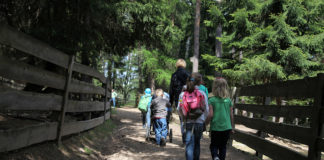 Escursioni con tutta la famiglia, anche in passeggino
