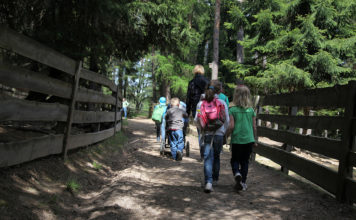 Escursioni con tutta la famiglia, anche in passeggino