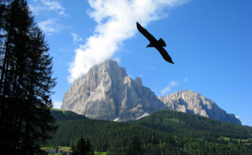 La Val Gardena dei campioni, si mangia e si scia con gli ex olimpionici val gardena dolomiti