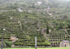 Nel vino “eroico” di montagna l’Italia vince in qualità e quantità