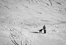 Vacanze sulla neve con il cane, sempre più alberghi pet friendly