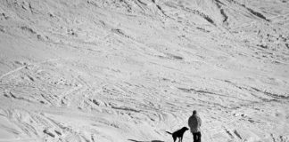 Vacanze sulla neve con il cane, sempre più alberghi pet friendly