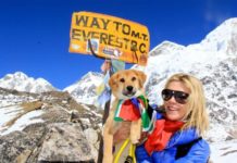 Dalla discarica alle stelle: il cane Rupee conquista l’Everest