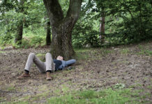 L’albero antistress usato per dormire meglio montagna foresta bosco