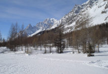 Sciare in Val Ferret