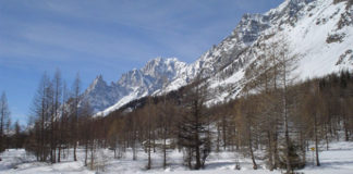 Sciare in Val Ferret