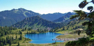 Il Parco Nazionale della Sila