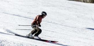 Ginnastica presciistica